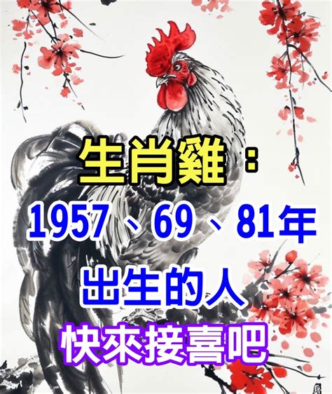 1969 雞 五行|【1969 雞 五行】1969年的雞是土命！來看看五行屬性及運勢建議